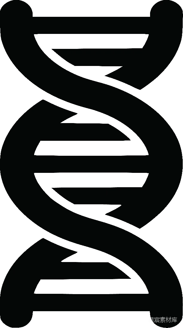 元素素材 抽象线条艺术