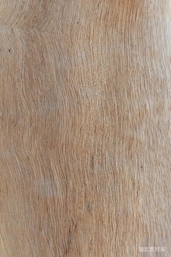 高清摄影 棕色和白色的挂毯