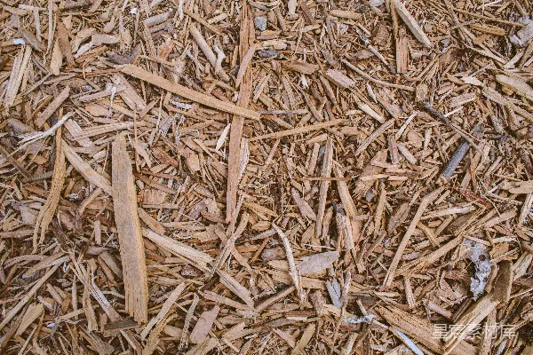 高清摄影 棕色和黑色的木制棍子