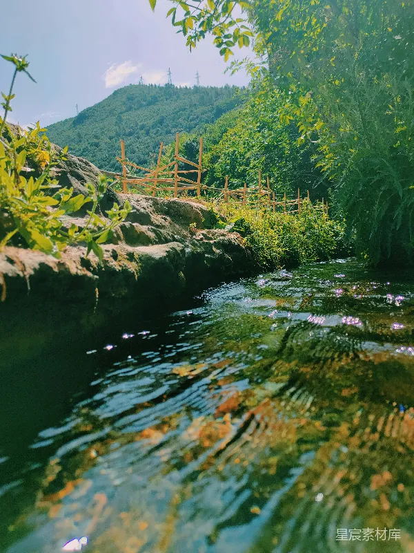 高清摄影 有栅栏和树木的小河