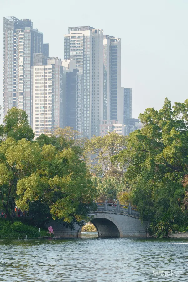 高清摄影 背景中有高建筑物的水面上的一座桥
