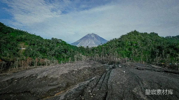高清摄影 一片繁茂的树林紧邻着一座山。