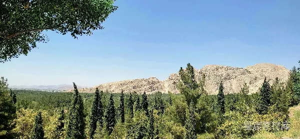 高清摄影 前景中有树木的山峦景色