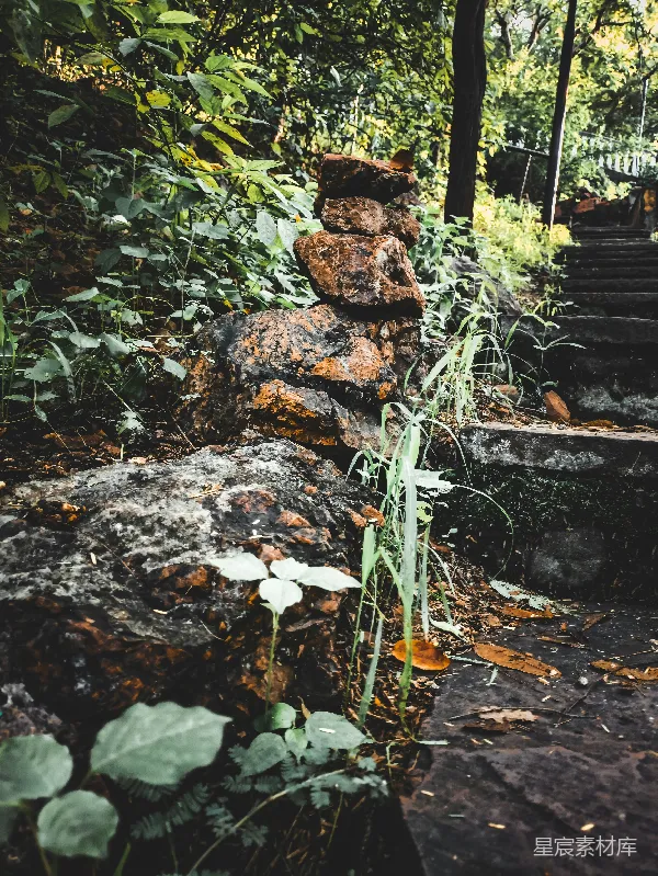 高清摄影 路边一堆石头