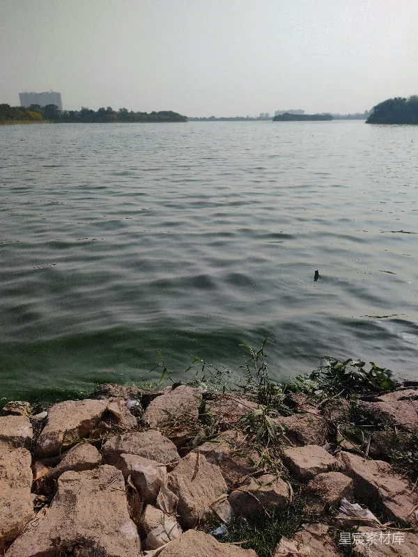 高清摄影 围绕着岩石和草地的一片水域