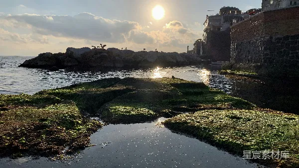 高清摄影 围绕着岩石和草地的水域