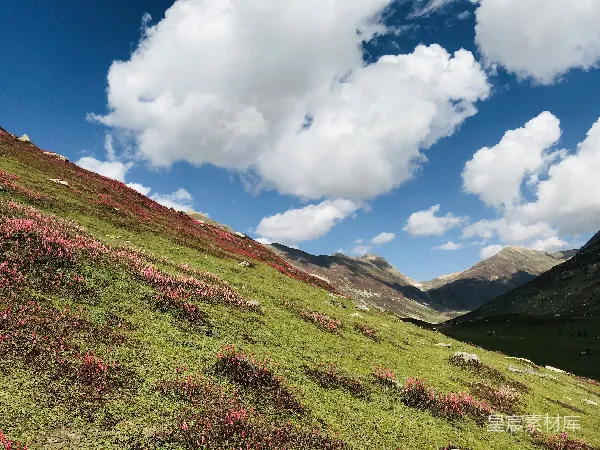 高清摄影 远处有一片草地和一条小溪。