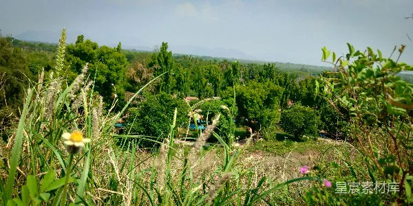 高清摄影 绿色的草地