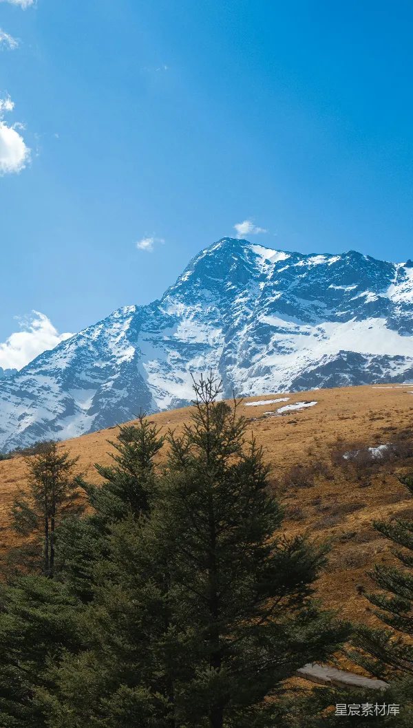 高清摄影 山峰覆盖着白雪，前景中有树木。