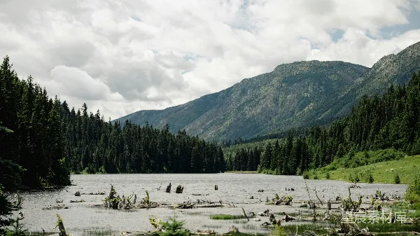 高清摄影 一条河流围绕着树木和山峦，在云层的背景下。