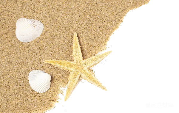 元素素材 沙滩上的海星与贝壳