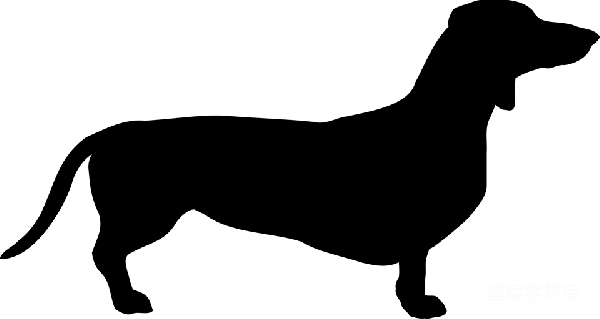 元素素材 全黑背景与光斑效果