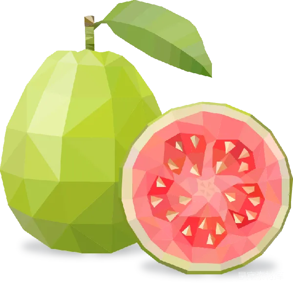 元素素材 几何风格的水果插画