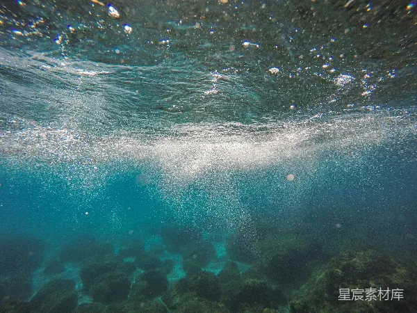高清摄影 白天的水下镜头