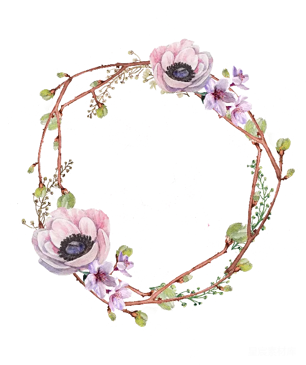 元素素材 梦幻花卉花环
