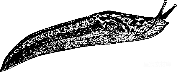元素素材 夜晚的星空