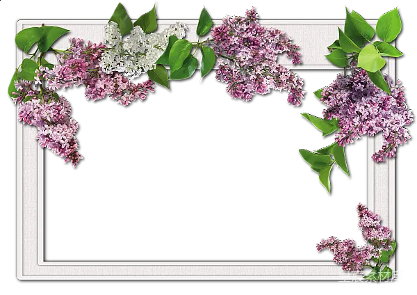 元素素材 紫色丁香花边相框