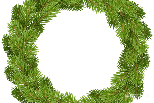 元素素材 PNG