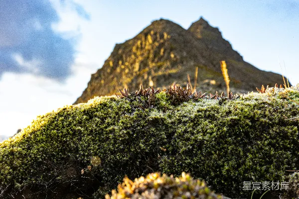 高清摄影 金色的阳光照射在青苔和一座嶙峋的山峰上。