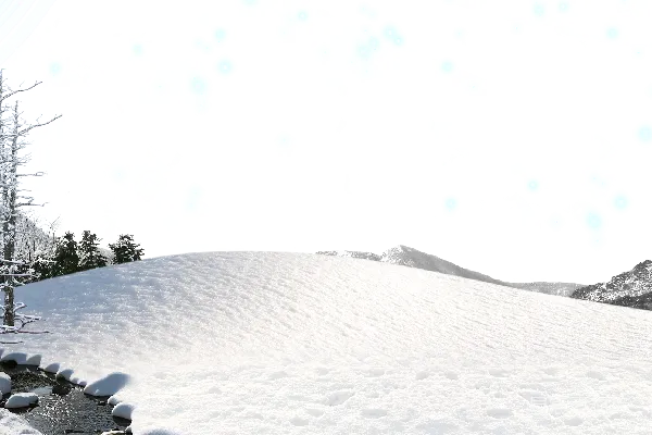 元素素材 透明