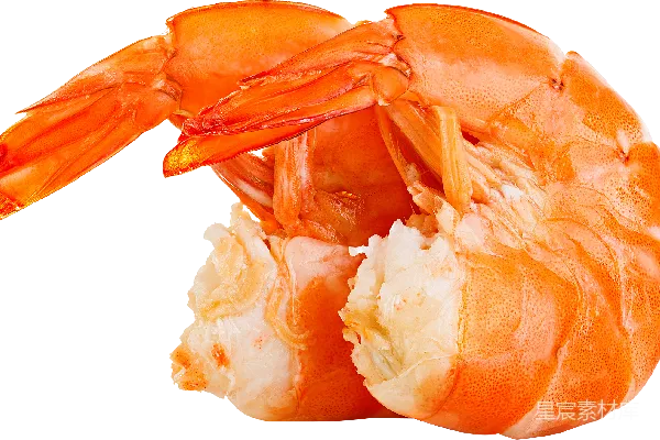 元素素材 虾