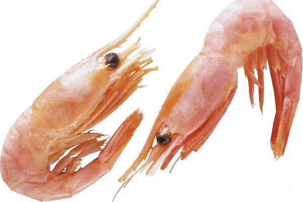 元素素材 虾