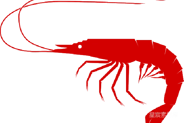 元素素材 虾