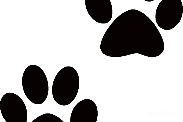 元素素材 透明