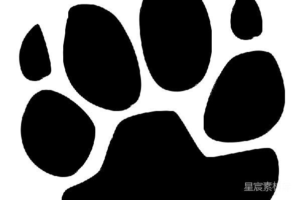 元素素材 透明