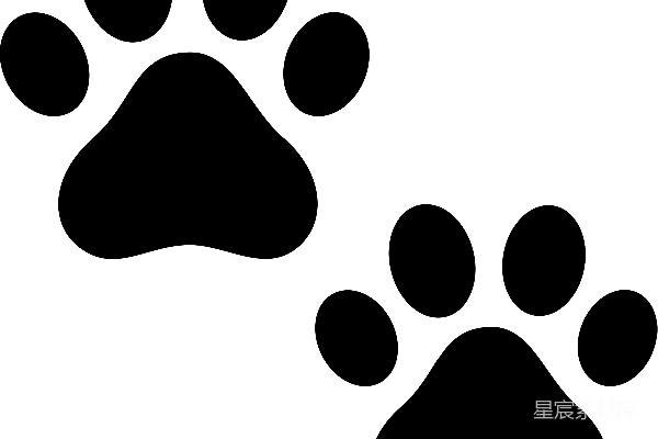 元素素材 爪子