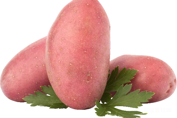 元素素材 红色