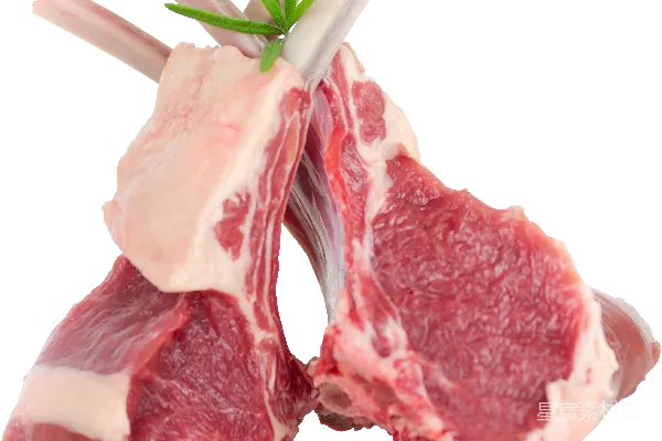 元素素材 肉