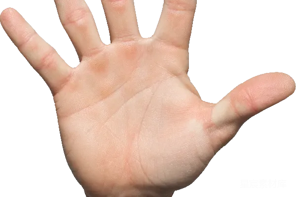元素素材 五