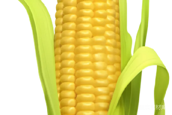 元素素材 玉米