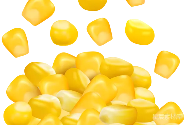 元素素材 玉米