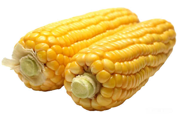 元素素材 玉米