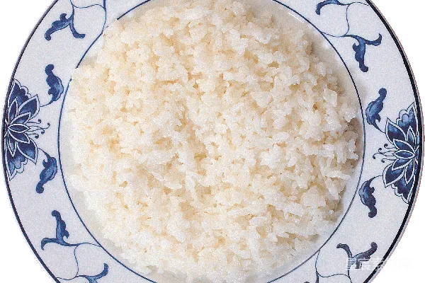 元素素材 青花瓷盘中的白米饭
