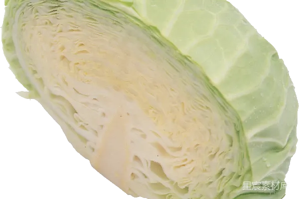 元素素材 白菜