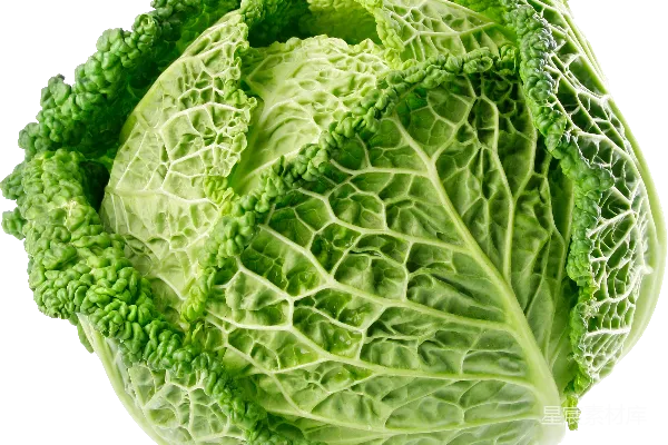 元素素材 白菜