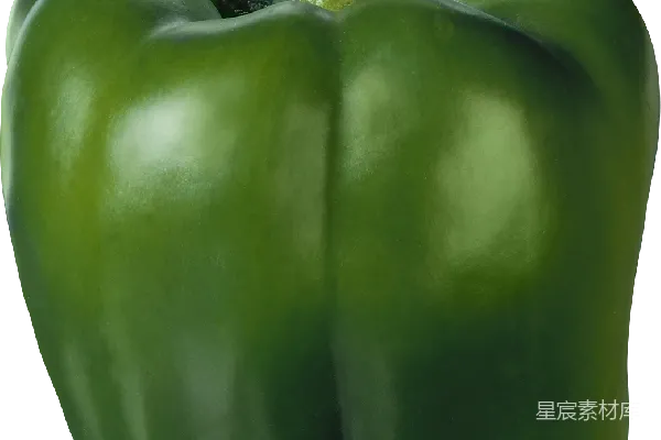 元素素材 贝尔