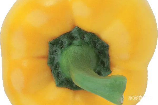 元素素材 贝尔