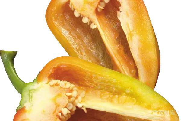元素素材 贝尔