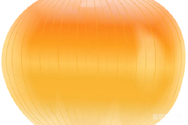 元素素材 洋葱