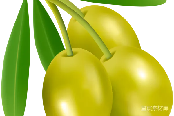 元素素材 PNG