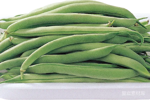 元素素材 绿色