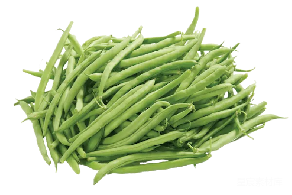 元素素材 绿色