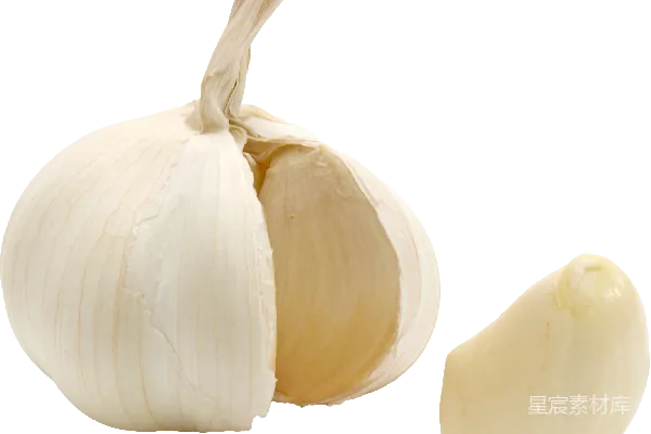 元素素材 大蒜