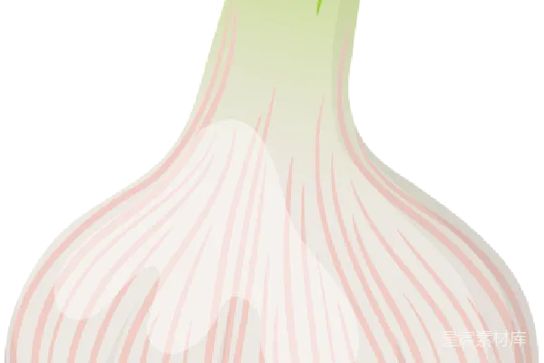 元素素材 大蒜