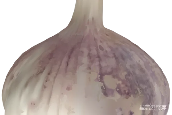 元素素材 大蒜