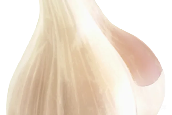 元素素材 蒜瓣